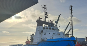 [aggregator] downloaded image for imported item #2358